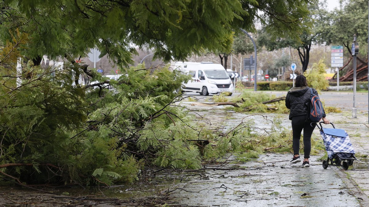 Alerta Roja por la Borrasca Leonardo: Lluvias Torrenciales Amenazan España