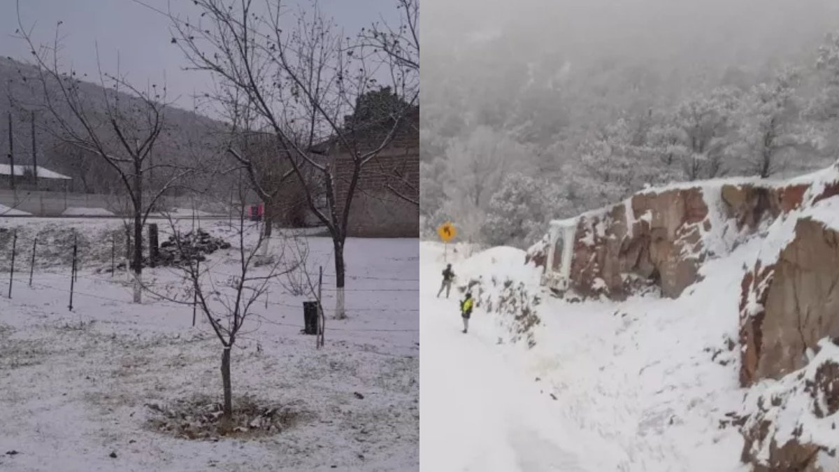 Clima en Chihuahua: Frío Invernal y Alertas por Heladas en 2026