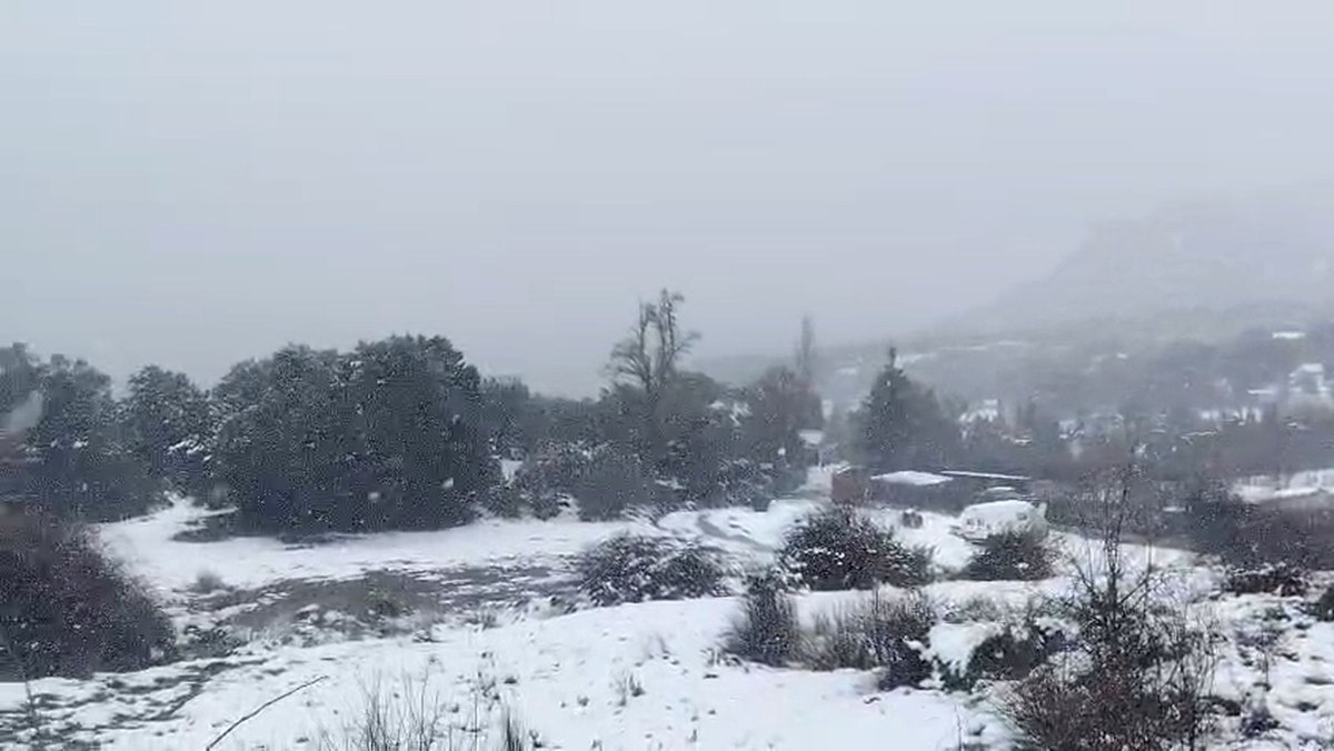 Granada Hoy: Temporal de nieve y viento paraliza la provincia en febrero de 2026