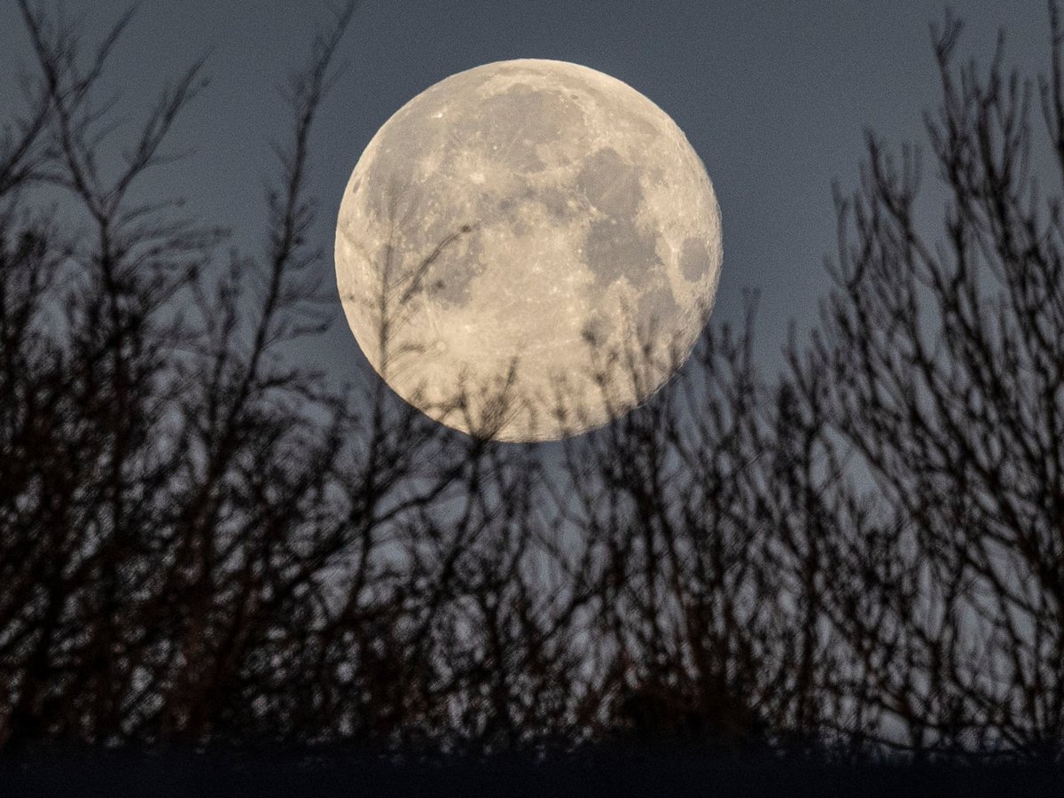 La Luna Hoy: Fases Actuales y la Espectacular Luna de Nieve en Febrero 2026