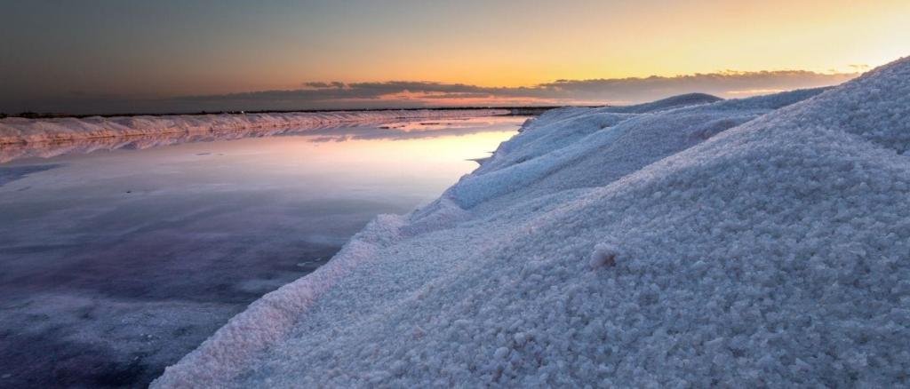 Margherita di Savoia: la prima regina d'Italia e icona del Risorgimento