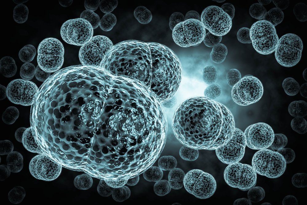 Meningite Tubercolare: Cause, Sintomi, Trattamento e Prevenzione