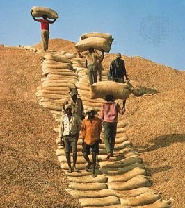 Senegal: El Emergente Económico de África Occidental