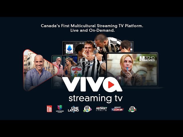 Witty TV: La Piattaforma Streaming di Mediaset per gli Appassionati di Intrattenimento