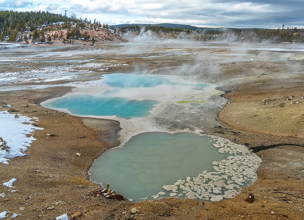 Yellowstone: Ultime Novità dal Parco Nazionale Più Iconico degli USA