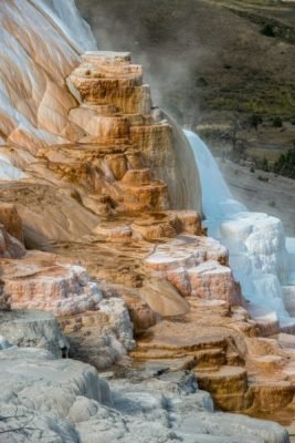 Yellowstone: Ultime Novità dal Parco Nazionale Più Iconico degli USA