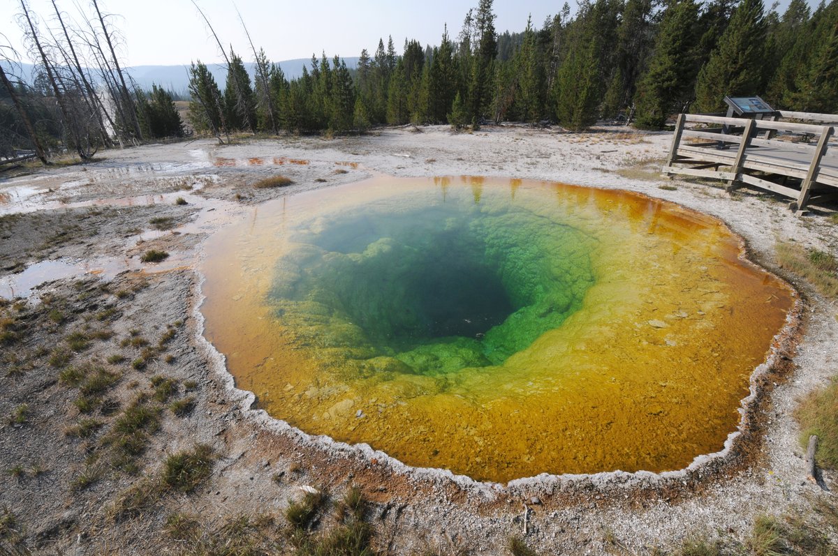 Yellowstone: Ultime Novità dal Parco Nazionale Più Iconico degli USA